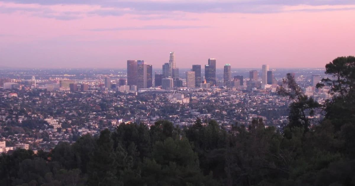 LA Added 3,420 Consulting Firms and Few Consulting Jobs